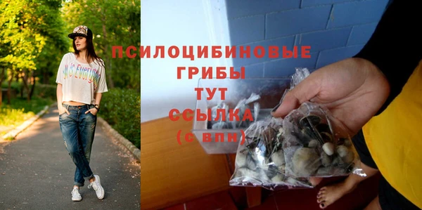 молекула духа Алзамай