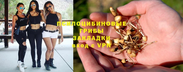 мяу мяу мука Дмитровск