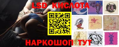PSILOCYBIN Кинель