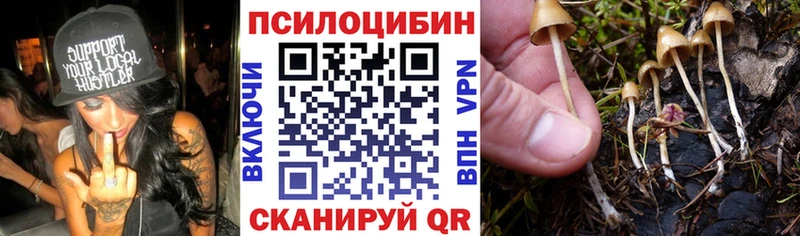 Галлюциногенные грибы Psilocybine cubensis  Миасс 
