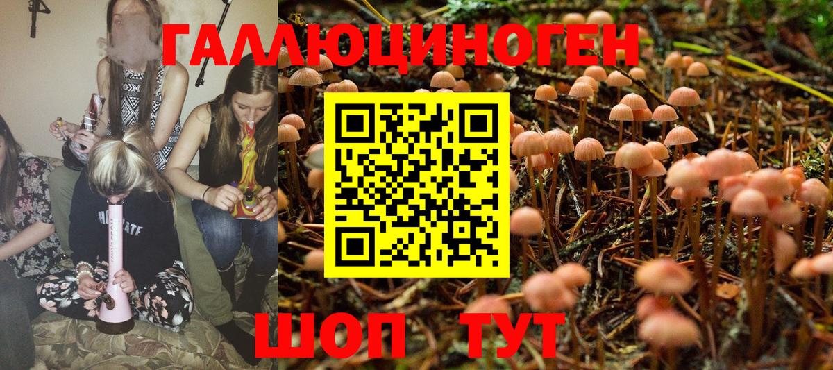 Псилоцибиновые грибы Psilocybe Миасс