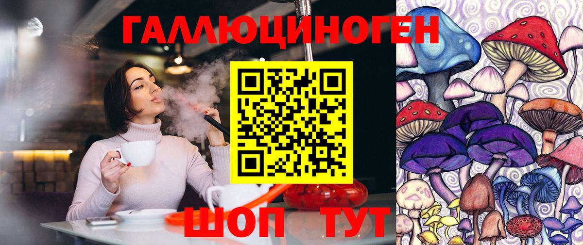 Миасс  Псилоцибиновые грибы Cubensis  Вход с VPN 